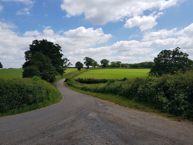 Road from Sheltwood Farm to Tardebigge
