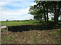 SH3671 : Fields at Bodgedwydd by David Purchase
