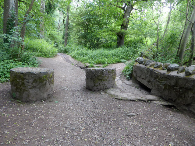 Paths in The Gullet, Malvern Hills