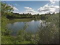 Pond at North Edge of Kingshill Local Nature Reserve