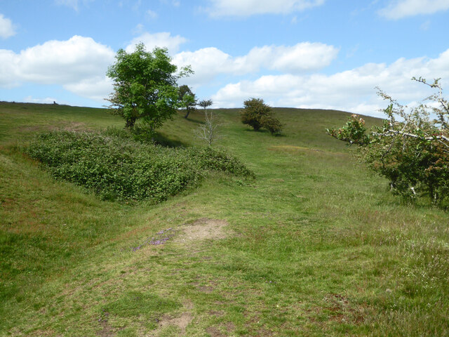 Shire Ditch on Hangman's Hill, Malvern Hills