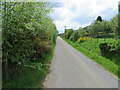 Minor road near to Ardendrain