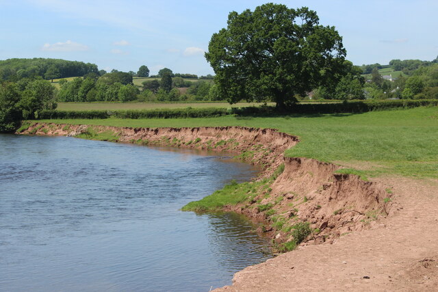 Low cliff, right bank of River Usk