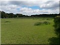 Paddocks east of Sunnyside Farm