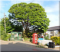 Bus stop and telephone box, High Street (B3293), St. Keverne