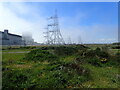 TR0817 : Pylons at Dungeness by Marathon