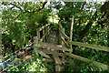 Foot Bridge over Coal Brook, Hales