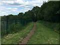 Path by Jubilee Allotments