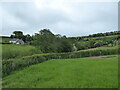 View to a cottage near Churchbank, Clun