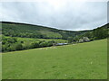 Scene at Cwm, Shropshire