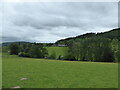 Scene near Cwm, Shropshire