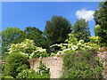 In a walled garden at Boughton Monchelsea Place