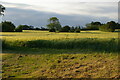 TM4065 : Barley fields in evening light, east of East Green Crossing by Christopher Hilton