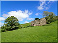 Roofless Barn on Nell Bank