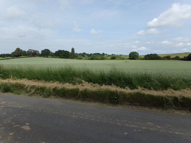 Farmland off Wiston Road