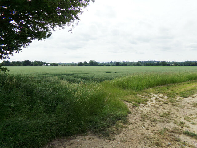 Farmland off Wiston Road