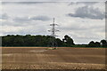 TQ3963 : Pylon in field by N Chadwick