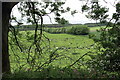 Over the hedge from West Dyke Road