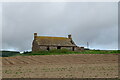 Derelict cottage near Muirside