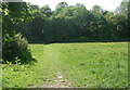 Path across green space in Bridgend