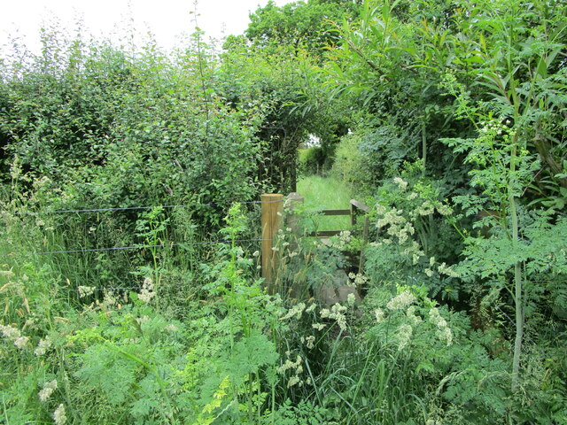 Nearly hidden stile © Jonathan Thacker :: Geograph Britain and Ireland