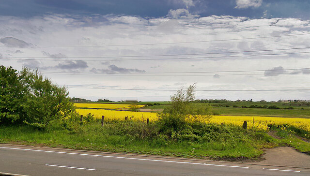 Fields east of the A189 at Newbiggin