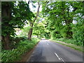 B9127 towards Kirkton of Kinnettles