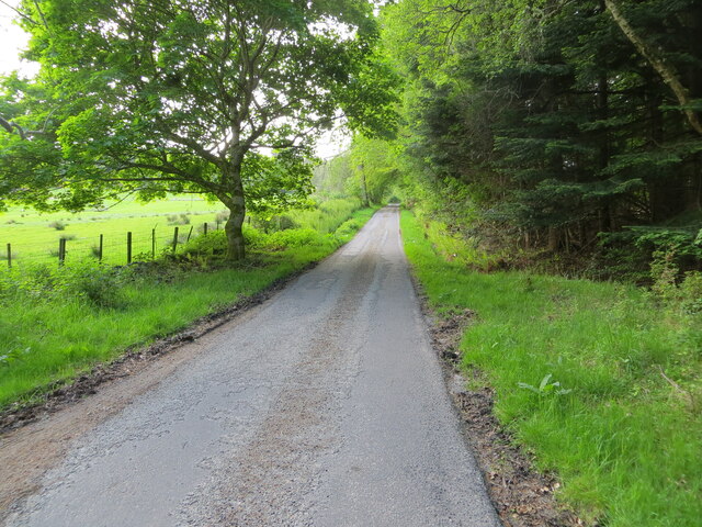 Minor road near to Ardmachdonie, Reelig Estate