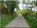 Minor road near to Newtonhill