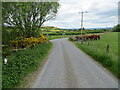 Minor road at South Clunes