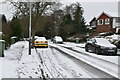 Snow, Coniston Avenue