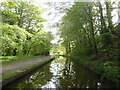 Llangollen Canal west of Trevor