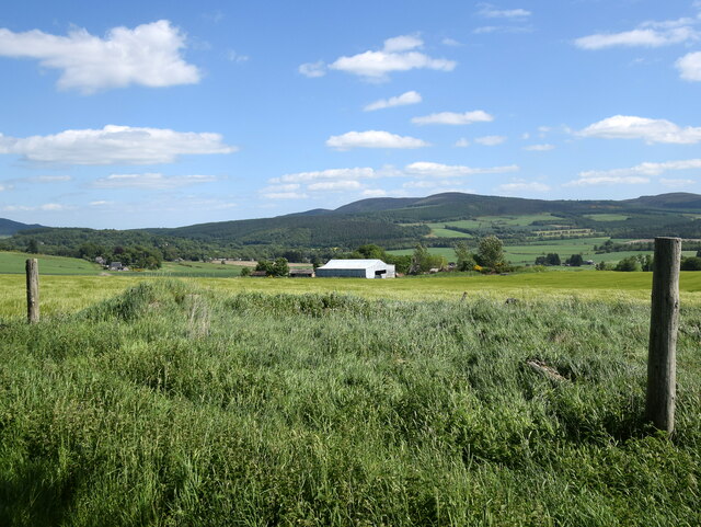 Aberdeenshire upland vista