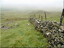 SH7925 : Wall descending from Rhobell Fawr by John H Darch