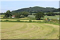 SO3011 : Fields east of A4042, Llanellen by M J Roscoe