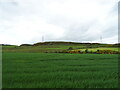 Crop field off the B9134