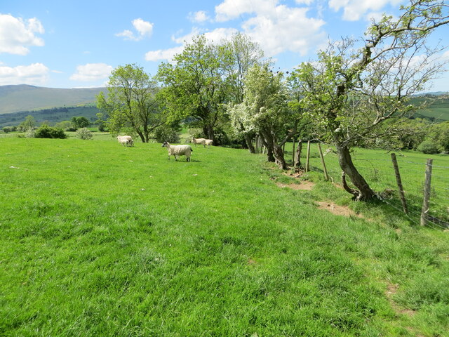 Field edge footpath near to Hewer Hill Farm