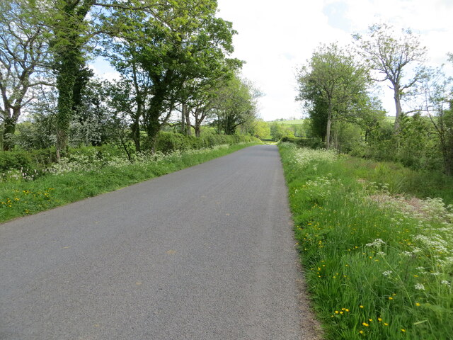 Tree and hedge-lined road near to Thackmire