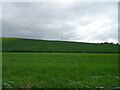 NO5557 : Crop fields near Balnacake by JThomas