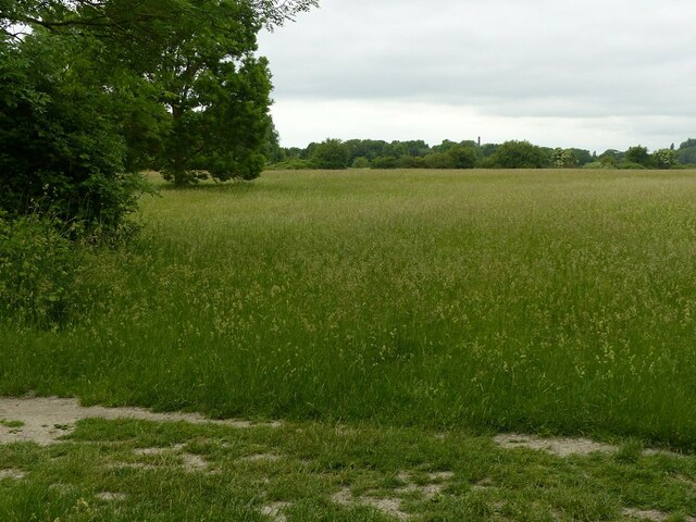 View across Coldham's Common