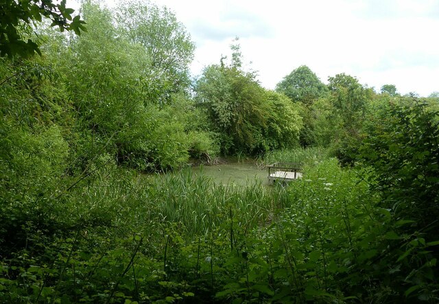 Pond in Barnwell East Local Nature Reserve