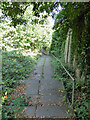 Footpath to Lower Upnor