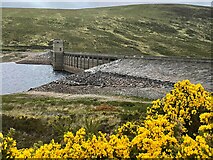 NH3470 : Loch Glascarnoch Dam by Graham Hogg
