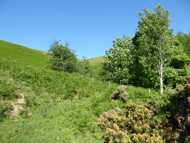 The slopes of Latrigg below Mallen Dodd