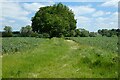 Farmland, Chute Forest