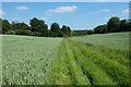 Farmland, Chute