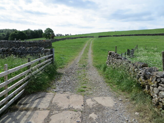 Track into grazing fields