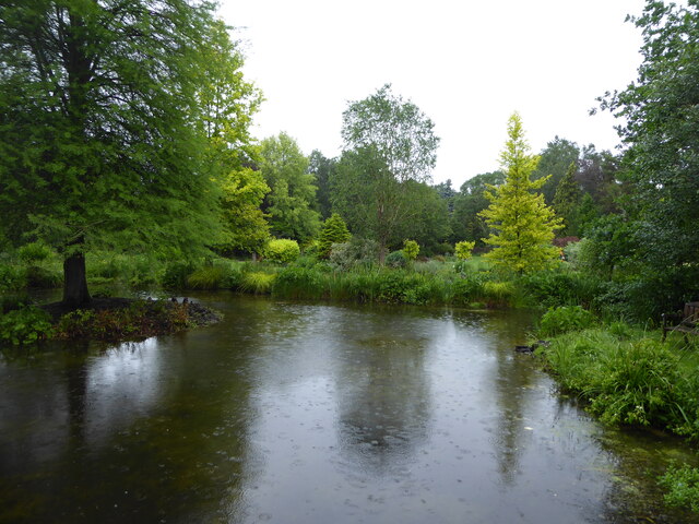 Pond in the Foggy Bottom Garden, Bressingham