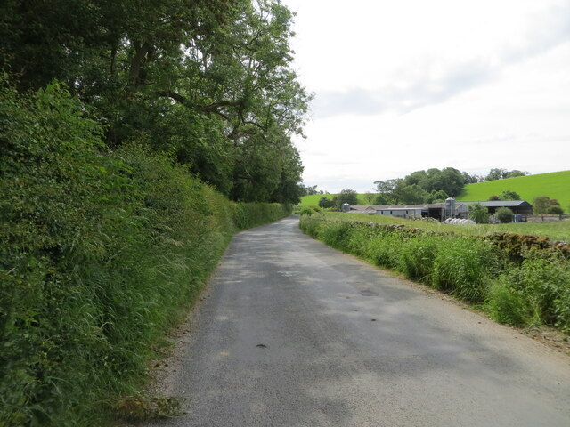 Minor road near to Brightenber Plantation and Stainton Hall