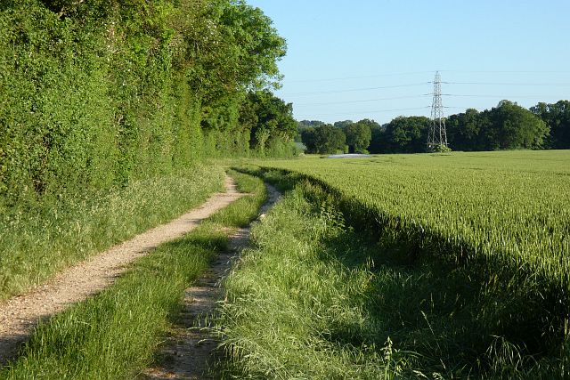 Farmland, Penton Mewsey